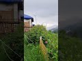 #pangot #uttarakhand #rain #kmvn #motorcycle #motorcyclelife #camping #nature #hills #mountains