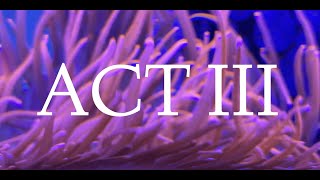 Watch ACT III Trailer