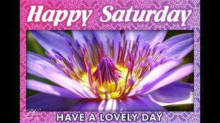 Beautiful Happy Saturday Wishes 🌸 Relaxing Floral Weekend Greetings