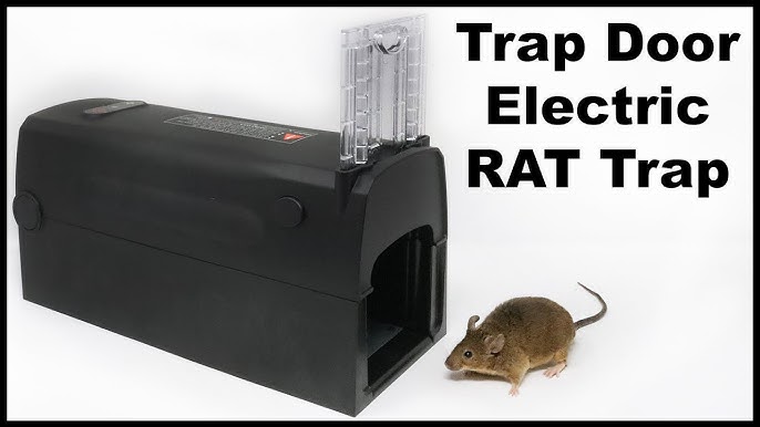 OWLTRA Indoor Electric Mouse Trap, Instant Kill Rodent Zapper with Pet Safe  Trig