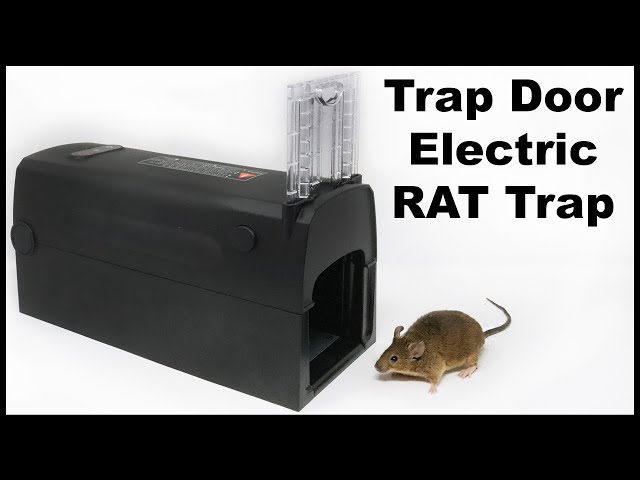 Shut The Front Door Electric Rat Trap - Montrap Electric Trap