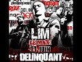 Lim  delinquant  2007 maxi