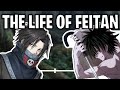 The Life Of Feitan Portor (Hunter × Hunter)