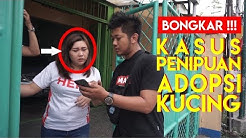 BONGKAR KASUS PENIPUAN ADOPSI KUCING - Durasi: 6.29. 