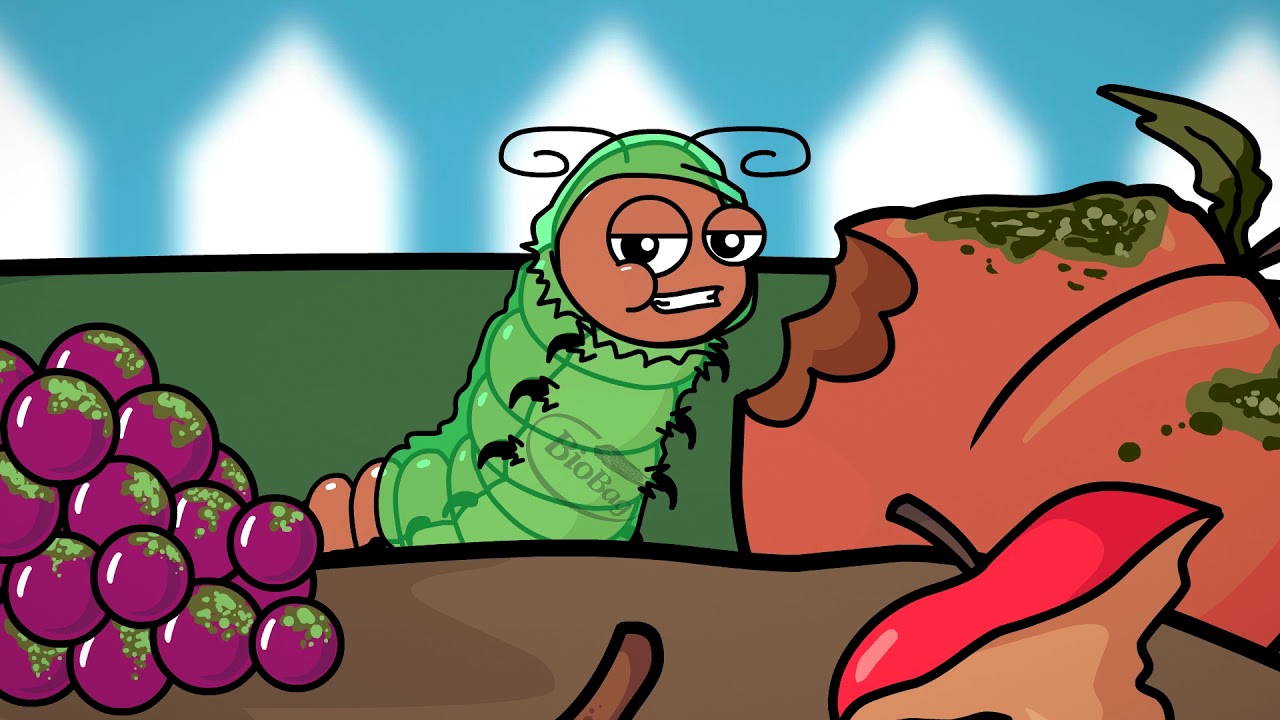 Latest Composting Tools BioBag, Bartells & King County Compost More