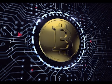 top criptomoneda 2021 investește biblia de investiții cripto