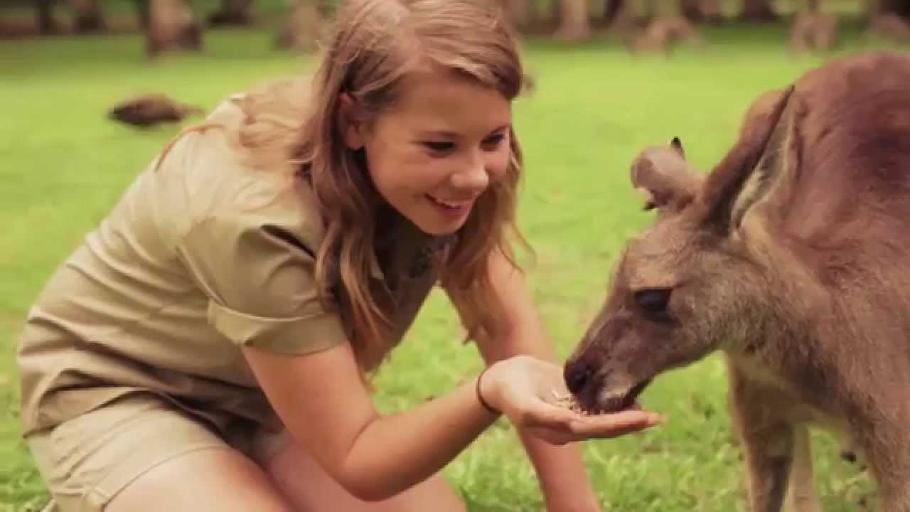 Welcome To The Sunshine Coast Home Of Bindi Irwin And Australia Zoo Youtube