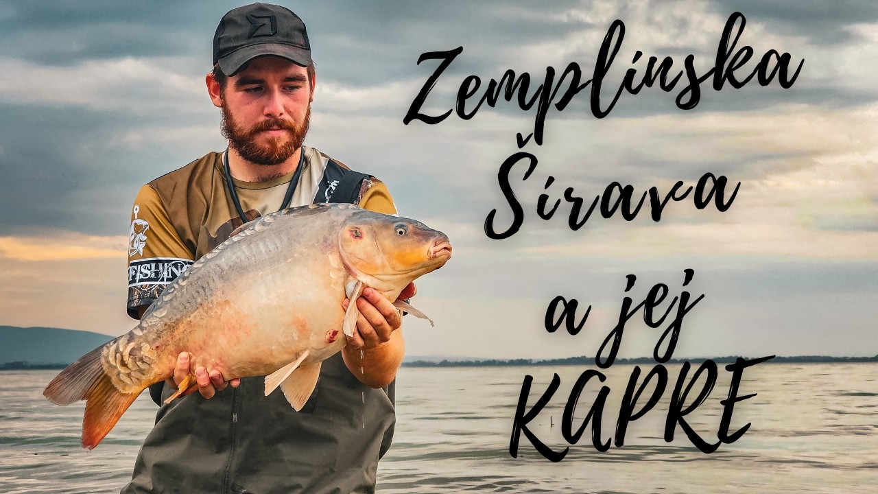 🎣Ulovil som svojho najväčšieho kapra! 🐷Koľko vážil? Lov kaprov 🐟 Zemplínska Šírava