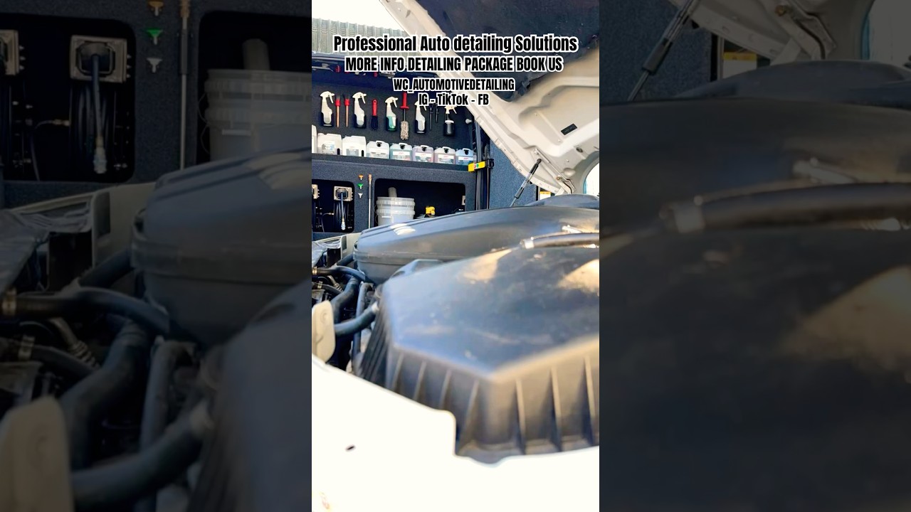 West coast automotive detailing Book your appointment today !#cardetailing #sonax