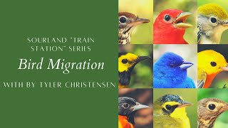 Bird Migration with Tyler Christensen