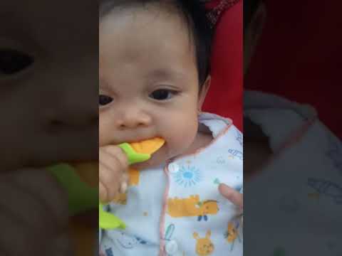 Review Teether bayi 6 bulan - Sassy teething feeder. 