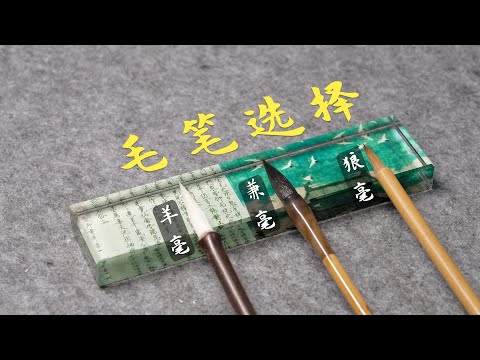 毛筆選購大揭秘,兼毫、羊毫、狼毫區別是什麼,適合什麼字體?評價毛筆好壞的因素是什麼?像挑西瓜那樣挑一支好毛筆!