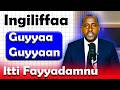 Ingiliffaa Guyyaa Guyyaan Itti Fayyadamnu (English in Afaan Oromo) #learnenglish #hirkoo #Bubbee Bee