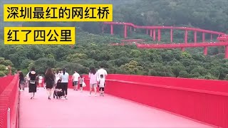 深圳最红的网红桥，红了四公里，我带大家去光明虹桥现场实拍，太震撼了