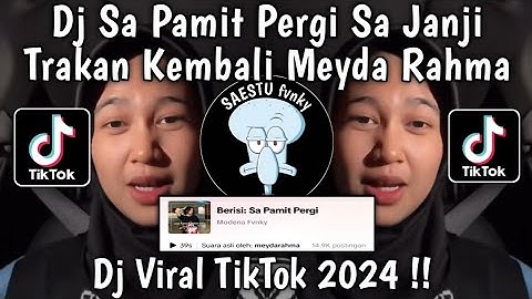 DJ SA PAMIT PERGI SA JANJI TRAKAN KEMBALI - DJ SA PAMIT PERGI SOUND MEYDARAHMA VIRAL TIKTOK 2024 !!