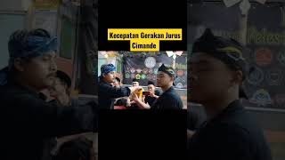 Download Lagu reflek kecepatan gerakan silat cimande #shorts #pencaksilat MP3