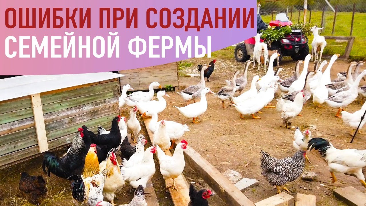 построй свое собственное домашнее хозяйство