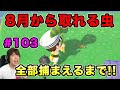 【あつまれどうぶつの森】8月から出る虫、全部捕まえるまで終われません！#103