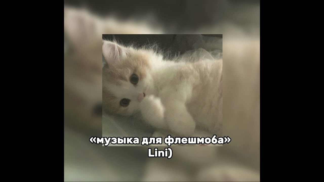 //музыка для флешмоба//звуки из тт 2025//возможны маты•♥