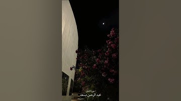 وقل الحمد لله سيريكم آياته فتعرفونها وما ربك بغافل عما تعملون #قرآن_كريم #عبدالرحمن_مسعد #سورة_النمل