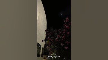 وقل الحمد لله سيريكم آياته فتعرفونها وما ربك بغافل عما تعملون #قرآن_كريم #عبدالرحمن_مسعد #سورة_النمل