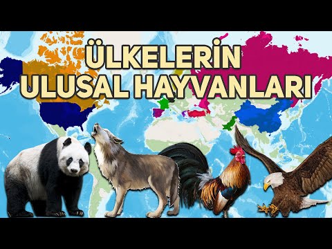 Video: Tanzanya arması ve bayrağı: devlet sembollerinin tanımı ve anlamı