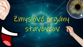 Zmyslové orgány stavovcov
