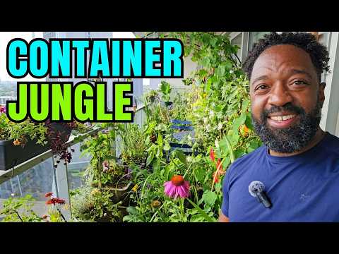 Container Garden Tour: My Jungle In The Sky