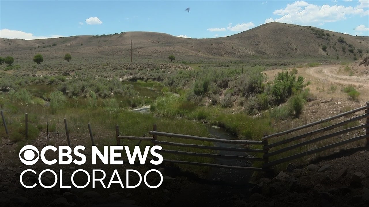 Ranchers sell cattle as drought worsens in Colorado, and creeks and reservoirs reach historic lows