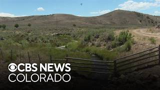 Ranchers sell cattle as drought worsens in Colorado, and creeks and reservoirs reach historic lows