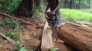 Download Lagu Bewerken en hergebruiken van beschadigd ijzerhout @hariantogesek MP3