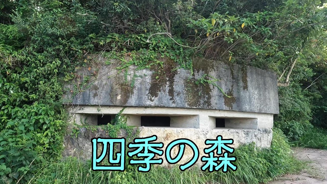 四季の森（曽於郡大崎町持留）