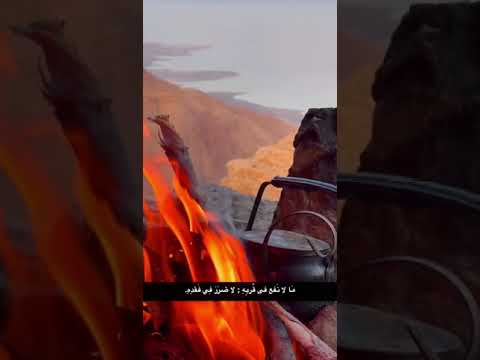 مالانفع في قربه لاضرر في فقده