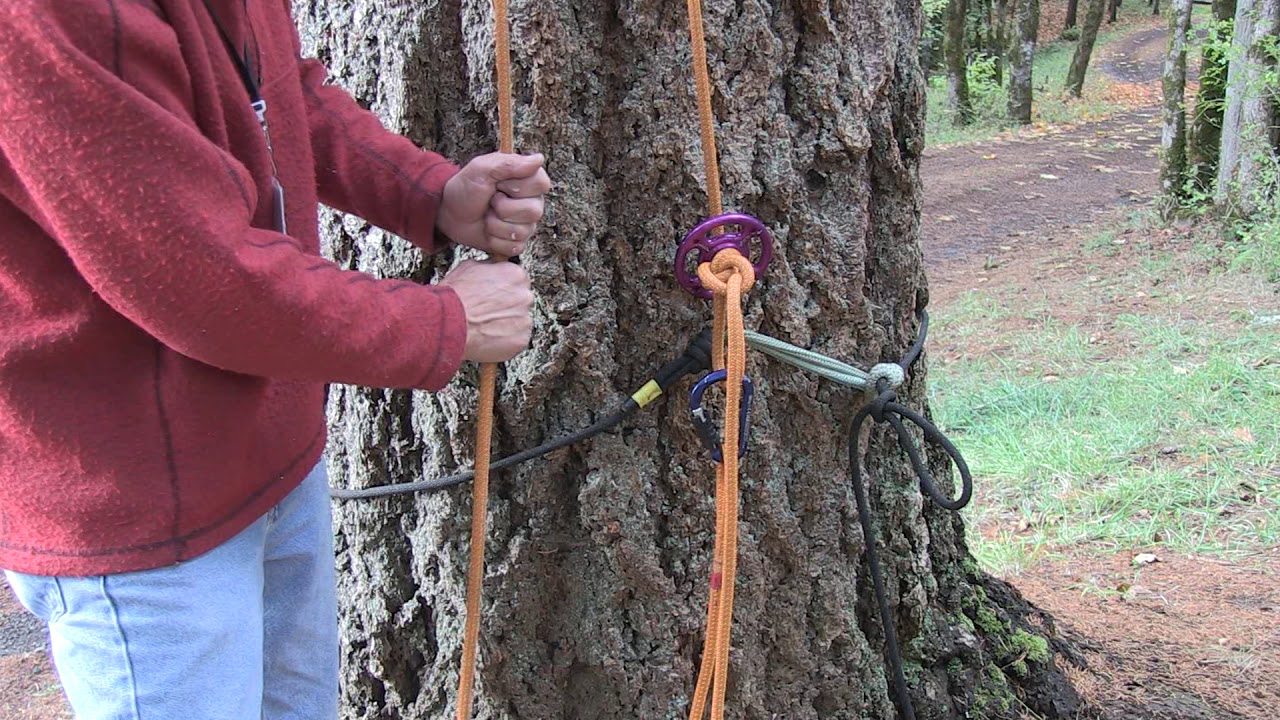 Retrievable Basal Anchor YouTube