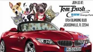 Watch MATT ABOUT JAX: Bimmers and Barks with Jax Humane