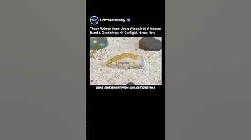 These Robots Move Using Warmth Of A Human Hand & Sun