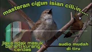 MASTERAN CIGUN ISIAN CILILIN PANJANG||AUDIO PALING MUDAH DI TIRU BUAT CETAK ANAKAN CIGUN CILILANAN