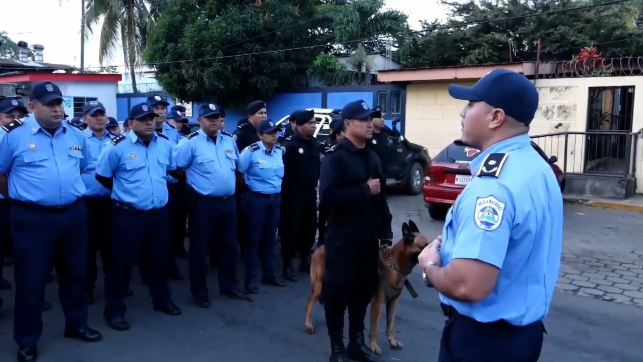 Operativos policiales dejan 8 detenidos por varios delitos en Masaya
