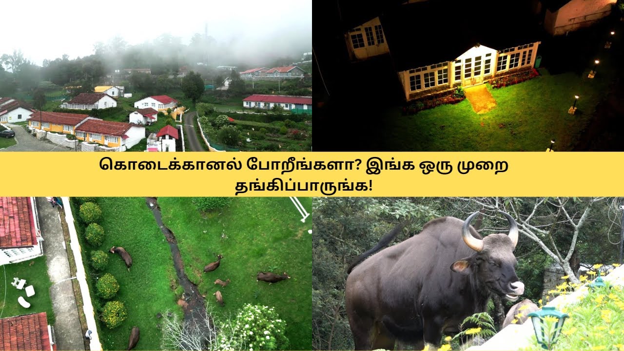 14 ஏக்கரில் பரந்து விரிந்த ரிசார்ட் 