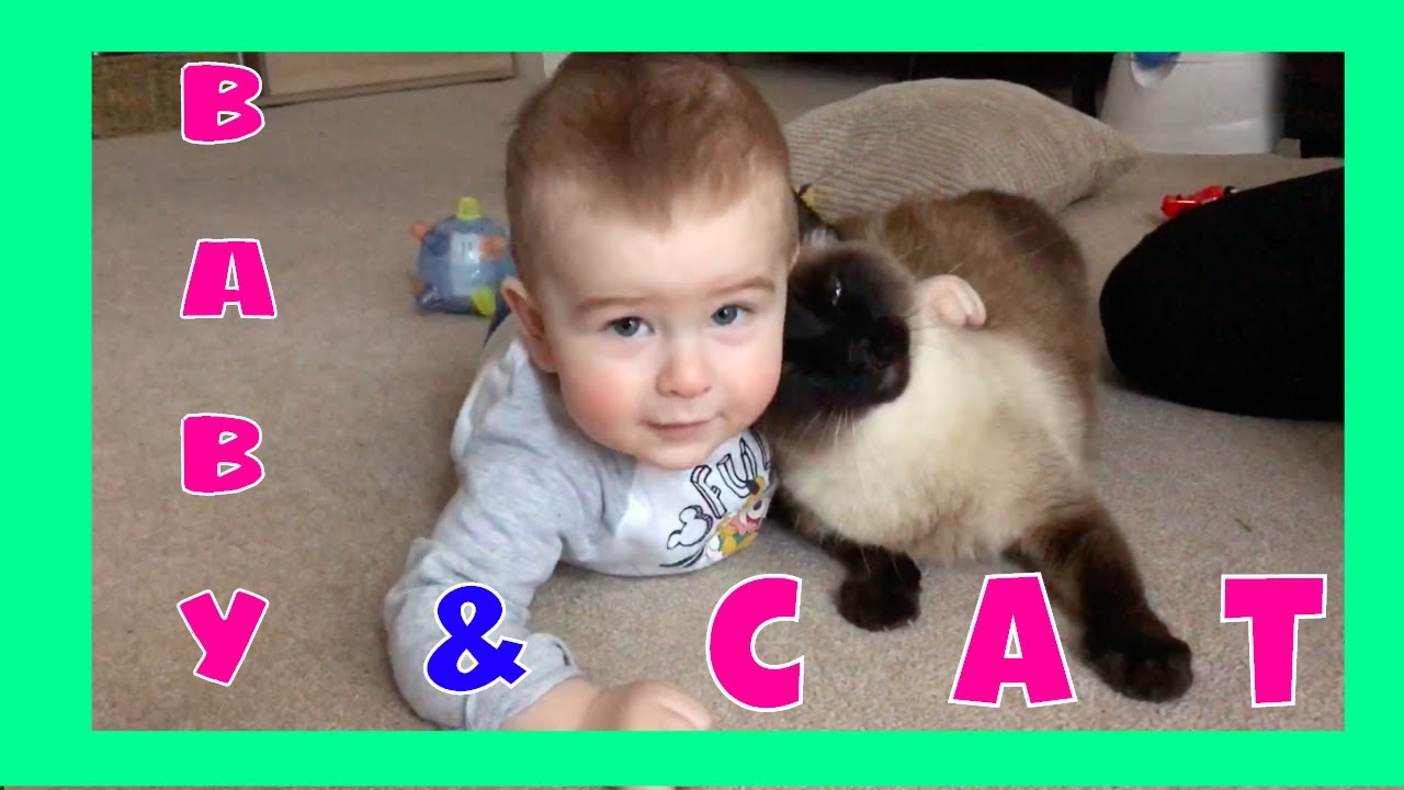 Cat loves baby Matthew | cats and babies | Малыши и кошки | кот и малыш | family vlog | cute baby