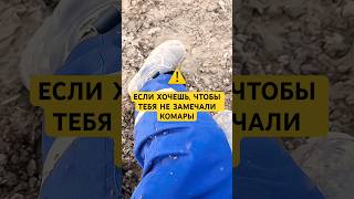 ⚠️ЕСЛИ ХОЧЕШЬ, ЧТОБЫ ТЕБЯ НЕЗАМЕЧАЛИ КОМАРЫ⬇️ отпугивающий спрей wb:#WW367546 (копируй с ww)