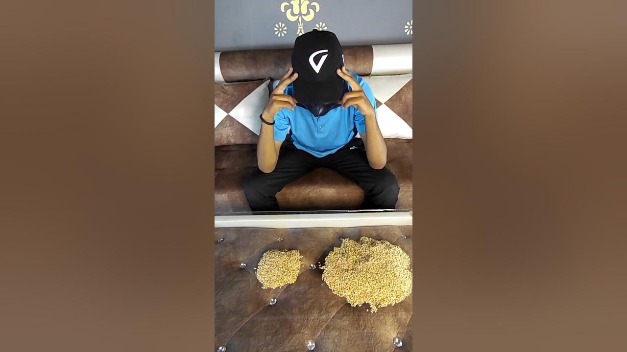 how-many-grains-in-1-kg-wheat-shorts-youtube