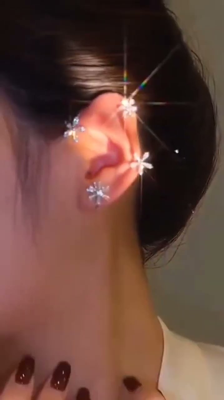 Rotating Windmill Zircon Sparkling Earring