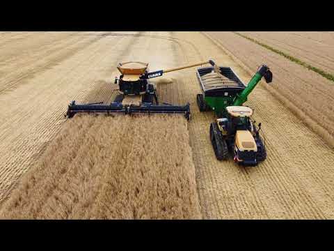 SWF Malt Barley Harvest