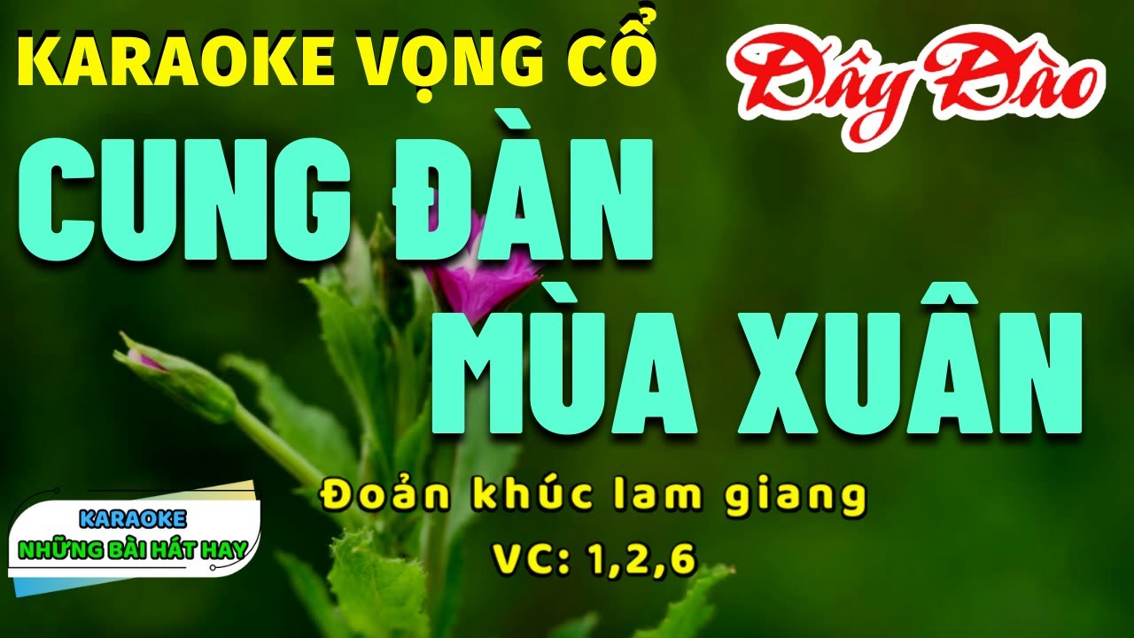 Karaoke Vọng Cổ Cung Đàn Mùa Xuân I Dây Đào