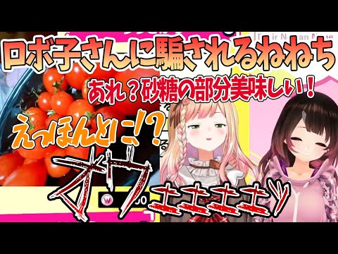 ロボ子さんに騙されトマトの砂糖がけを食べさせられミオる寸前まで行く桃鈴ねね「ひとんちで吐くわけには…ッ」【切り抜き/ホロライブ】