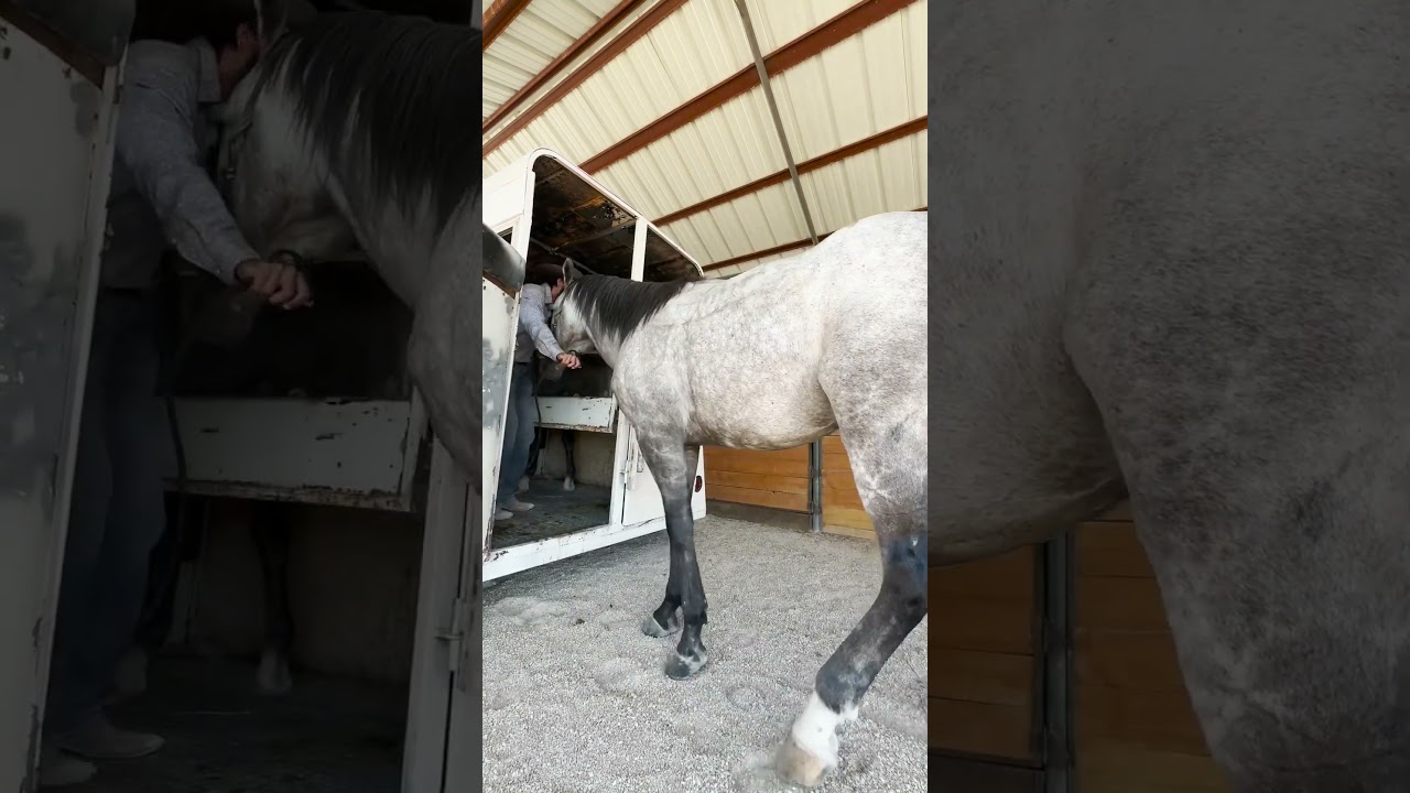 enjoying the simple things 