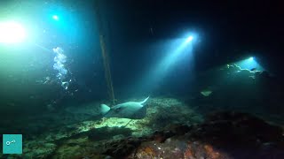 Trip Recife - Noturno Naufrágio Pirapama