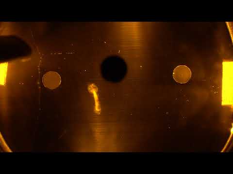 Radiation Visualized | Gas Diffusion Chamber