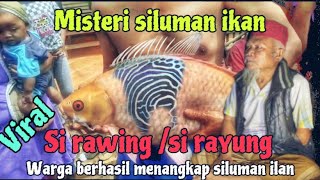 MISTERI SILUMAN IKAN SI RAWING/SI RAYUNG
